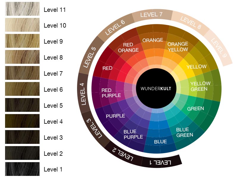 Hair color wheel chart