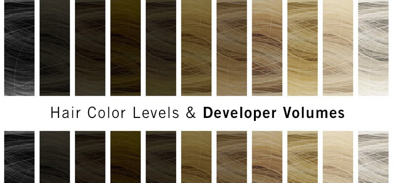 hair color levels and developer volumes